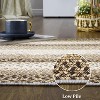Entryway Rug Small Throw Rug Machine Washable Floor Cover Braided Printed Area Rug Indoor Non Slip Farmhouse Rug Boho Accent Rug - 4 of 4