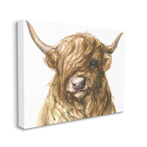 Stupell Industries Country Cattle Wooly Highland Portrait Rainbow Hair :  Target