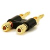 Monoprice Dual High-Quality Gold Plated Speaker Banana Plugs, Black - 2 of 3