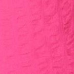 raspberry sorbet