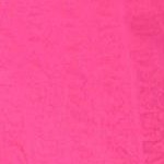 raspberry sorbet