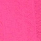 raspberry sorbet