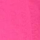 raspberry sorbet