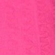 raspberry sorbet