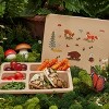 Austin Baby Co Leak-proof Silicone Bento Box for Toddlers and Kids- Durable & Eco-Friendly five compartment Lunch Box - 4 of 4