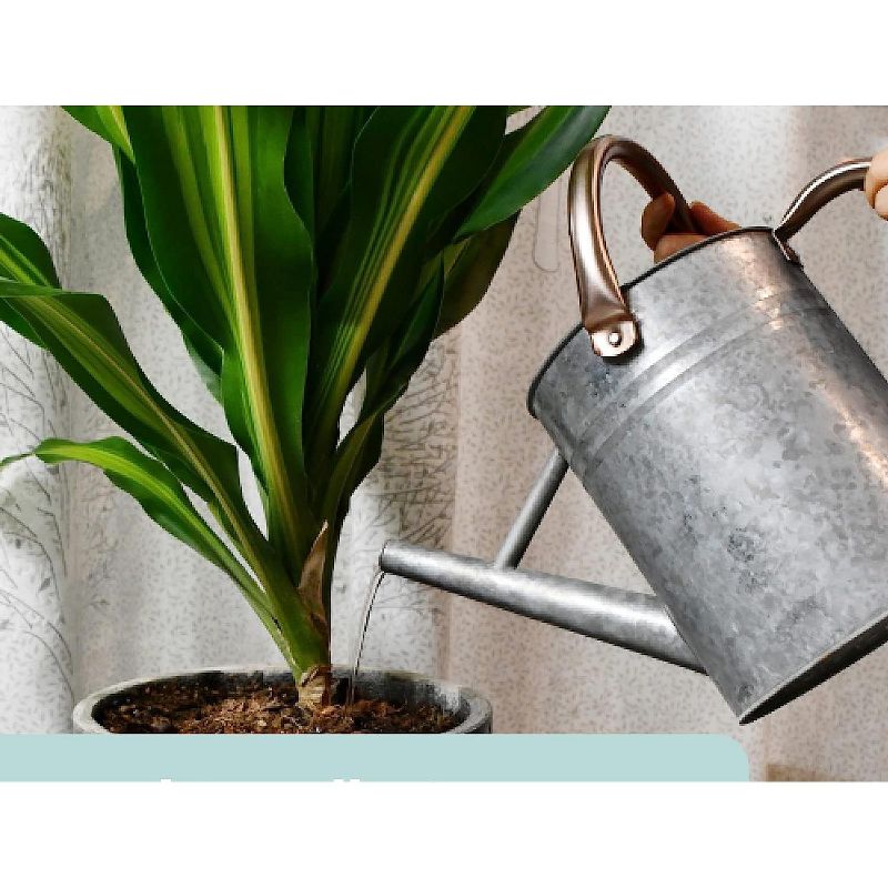Homarden 1 Gallon Silver Metal Watering Cans - Perfect for Indoor & Outdoor Plant Care, 3 of 4