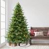 Puleo 7.5' Pre-lit Full Chatham Fir Artificial Christmas Tree Dual Color Lights - 2 of 4