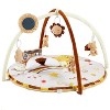 TROPOW Baby Gym Play Mat, Baby Activity Center with 9 Detachable Toys for Stage Sensory&Motor Skills&Cognitive Development, Thicker Non-Slip - 4 of 4