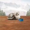 Blue Buffalo Wilderness High Protein Natural Kitten Dry Cat Food with Chicken Flavor - 3 of 4