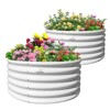Cesicia 4x1.5ft White Round Galvanized Raised Garden Bed For Vegetables & Flowers - 2 of 4