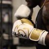 Rival Boxing RFX-Guerrero-V HDEF Hook and Loop Bag Gloves - 2 of 2