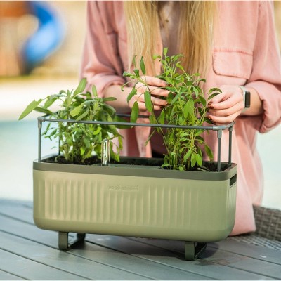 Sage Green Self-Watering Herb Planter Box with Trellis