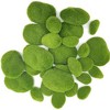 Aoibox 30 PCS Artificial Moss Rocks Decorative, Green Moss Balls, Moss Stones, Fake Moss Decor for Floral Arrangements, Fairy Gardens and Crafting - 4 of 4