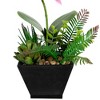 Northlight 13" Orchid with Succulent Artificial Potted Plant - Pink - 4 of 4