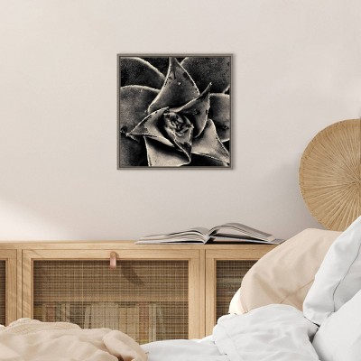 20" x 19" Black and White Succulent Framed Canvas Print