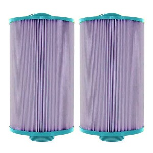 Hurricane Filters HF4H21-01P Platinum Purple Pool Filter Cartridge - for PTL18P4, Unicel 4CH-21, Filbur FC-0136, Pageant Spa Top Load, 2 Pack - 1 of 4