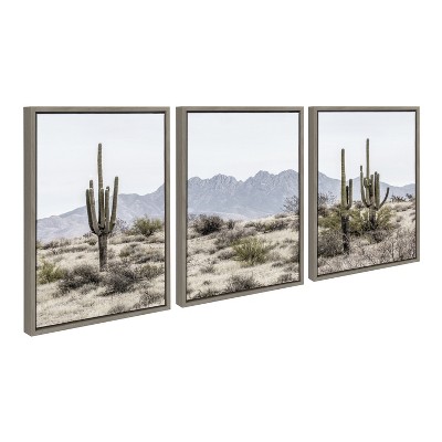 Gray Framed Desert Cacti Landscape Canvas Art Set