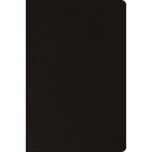ESV Compact Bible (Buffalo Leather, Deep Brown) - (Leather Bound) - 1 of 1