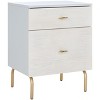 Genevieve 2 Drawer Nightstand - NST5002 - Safavieh - 3 of 4