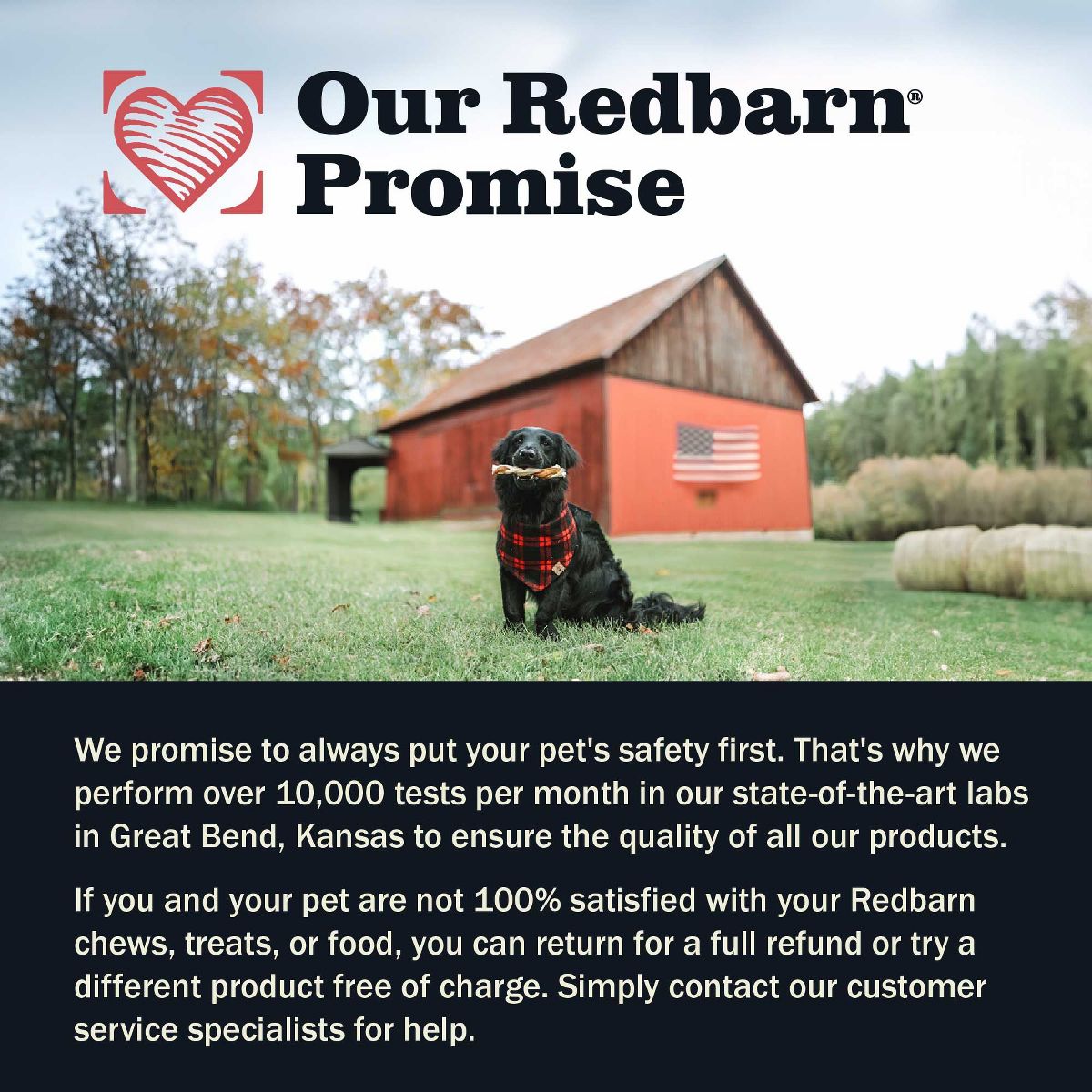 Redbarn Natural Dur-A-Bulls Hickory Flavor Large Dog Chew Treats - thumbnail 8