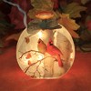 Stony Creek 4.5 Inch Fall Cardinals Pre-Lit Round Sm Jar Ribbon Autumn Novelty Sculpture Lights - 4 of 4