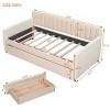 Twin Size Upholstered Daybed with Storage Drawers and Vertical Backrest, Velvet Sofa Bed for Kids or Guest Room-Baofuwish - 4 of 4
