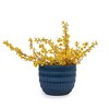 NAYSAYE Planter Set of 4 Ceramic Flowerpot Sleek Glossy Design for Indoor Outdoor Garden, Blue, 14.2"*14.2"*11.5" - 4 of 4