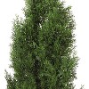 4ft Silk Tree - Indoor Outdoor Decorative Tree, Realistic Artificial Pine Tree, Elegant Home Decor, 20" x 20" x 48" - 2 of 4
