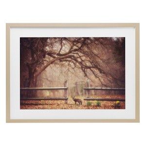 Stupell Industries Sly Guy Fox in Forest Framed Print Under Glass, Brown, 23" x 17" - 1 of 4