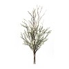 Leptospermum Greenery Swag Set of 2 22 Inch Length for Door or Shelf Styling By Melrose - 2 of 3