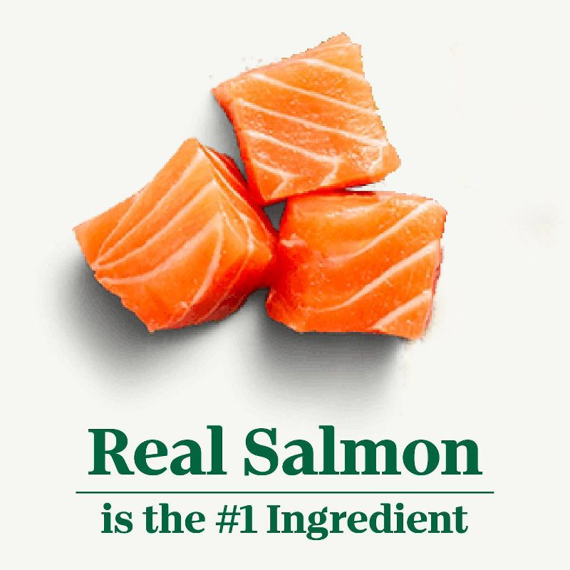 Nutro Wholesome Essentials Salmon &#38; Brown Rice Recipe Adult Premium Dry Cat Food - 5lbs, 4 of 14
