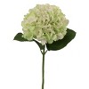 Floral Home 18.5" Light Green Hydrangea - 12-Pieces - 2 of 2