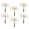 Gerbera Daisy Floral Bundle (Set of 6) - 2 of 3