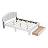 NicBex Queen Upholstered Bed Frame with 1 Large Drawer,Shell-Shaped Headboard with LED Light and 2 USB Ports,No Box Spring Needed,Easy Assembly - 4 of 4