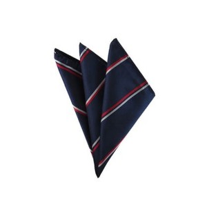 TheDapperTie - Men's Stripe Woven 10 Inch x 10 Inch Pocket Squares Handkerchief - 1 of 3