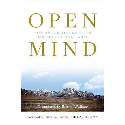 Open Mind - by  B Alan Wallace (Paperback)