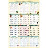 House of Doolittle Recycled Academic Seasonal Laminated Wall Calendar 12-Month July 2025 to June 2026 Illustrated Seasons 24 x 37 - 2 of 4