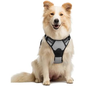 rabbitgoo Dog Harness No Pull with 2 Leash Clips, Control Handle for Medium Sized Dogs, Grey, M - 1 of 1