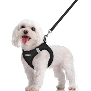 rabbitgoo Dog Harness Small Sized and Leash Set, Step in Soft Light Puppy Pet Harness, Reflective for Safe Easy Walking, Black M - 1 of 1