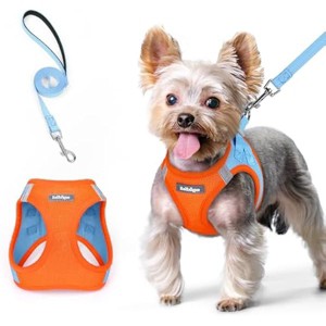 rabbitgoo Dog Harness Small Sized and Leash Set, Breathable Mesh Pet Harness, Reflective for Safe Easy Walking, Blue & Orange XS - 1 of 1