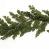 Pine Garland 6'L - 2 of 3