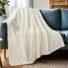 PAVILIA Plush Knit Throw Blanket for Couch Sofa Bed, Super Soft Fluffy Fuzzy Lightweight Warm Cozy All Season - 2 of 4