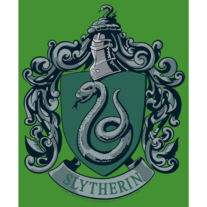 Boy's Harry Potter Hogwarts Slytherin T-Shirt, 2 of 5