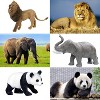 TEMI 12-Piece Realistic Jungle Animal Figurines Set, Plastic Safari Toys for Wild Zoo Playsets and Party Supplies - 3 of 4