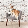 carol & frank 50" x 60" Dash Pillow Collection - 2 of 4