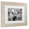 Trademark Fine Art - Nathan Larson Highland Cow Staring Contest Crop Matted Framed Art - 3 of 4