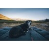 Backseat Barker: SUV Edition - 2 of 4