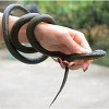 Fake Realistic Snake Lifelike Real Scary Rubber Toy Prank Party Joke For Garden - 3 of 4