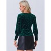 Allegra K Women's Velvet Metallic Shiny Crew Neck Long Sleeve Blouse - 3 of 4