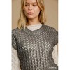 Women's Metallic Short Sleeve Sweater - umgee - 3 of 3